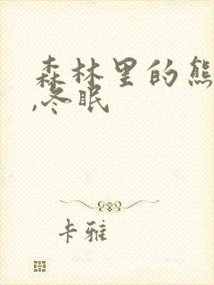 森林里的熊先生,冬眠封面