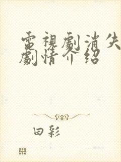 电视剧消失的她剧情介绍封面