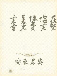 完美伴侣在线观看免费完整版高清电影