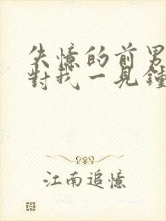 失忆的前男友又对我一见钟情小说封面