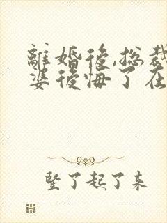 离婚后,总裁老婆后悔了在线阅读