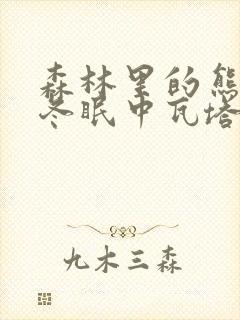 森林里的熊先生冬眠中瓦塔里封面