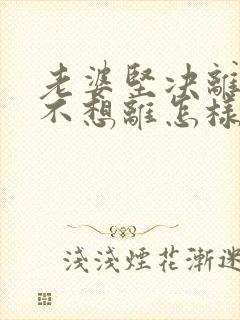 老婆坚决离婚我不想离怎样解决封面