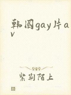 韩国gay片av