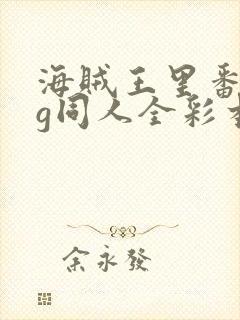 海贼王里番acg同人全彩本子