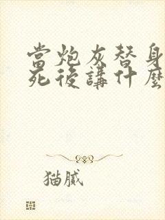 当炮灰替身的我死后讲什么封面