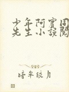 少年阿宾同人胡先生小说阅读