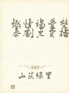 燃情竭爱双男主泰剧免费播放