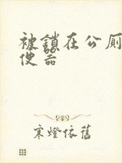 被锁在公厕当坐便器