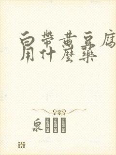 白带黄豆腐渣状用什么药