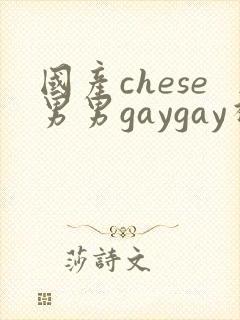 国产chese男男gaygay视频网站