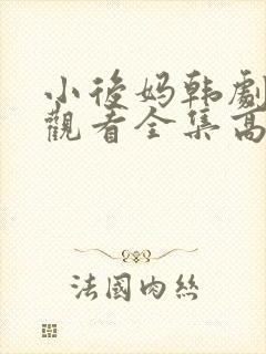 小后妈韩剧免费观看全集高清