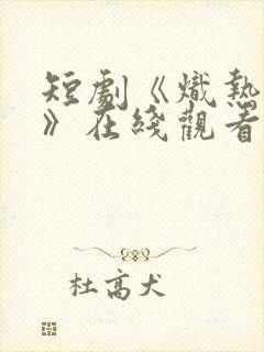 短剧《炽热吸引》在线观看