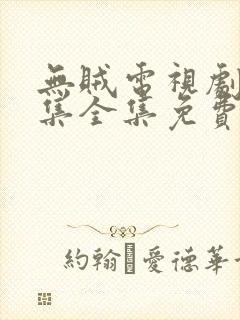 无贼电视剧48集全集免费