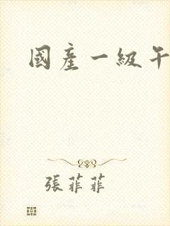 国产一级午夜片封面