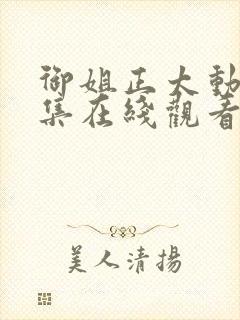 御姐正太动漫全集在线观看免费