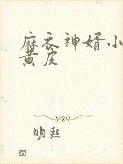 麻衣神婿小说陈黄皮