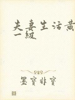 夫妻生活黄色片一级