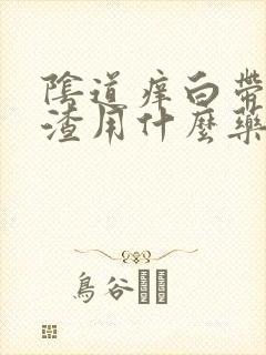 阴道痒白带豆腐渣用什么药