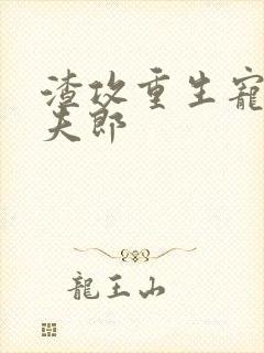 渣攻重生宠前世夫郎