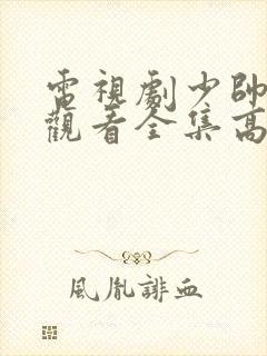 电视剧少帅免费观看全集高清