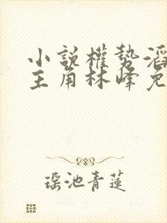 小说权势滔天男主角林峰免费阅读封面