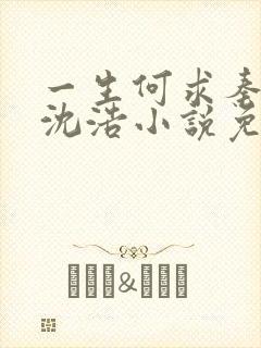 一生何求秦菲雪沈浩小说免费阅读全文封面