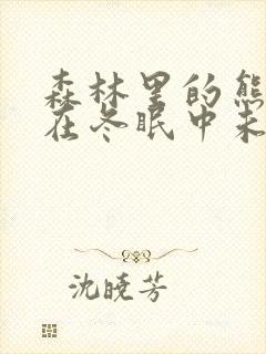 森林里的熊先生在冬眠中未增减