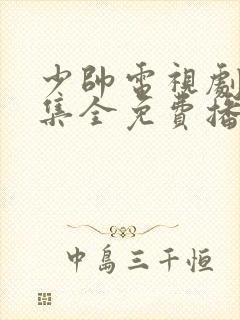 少帅电视剧48集全免费播放