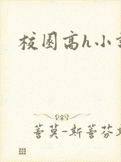 校园高h小说封面