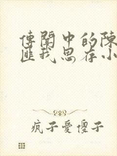 传闻中的陈芊芊匪我思存小说