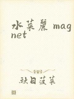 水菜丽 magnet封面