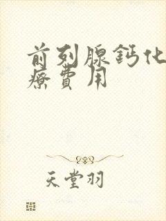 前列腺钙化 治疗费用