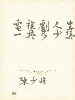 电视剧人生之路一共多少集