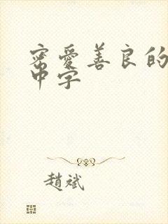 密爱善良的嫂子中字封面