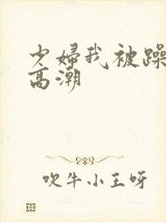少妇我被躁爽到高潮