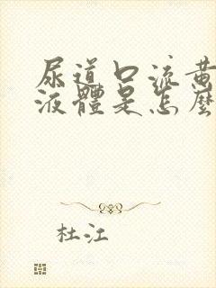 尿道口流黄色的液体是怎么回事