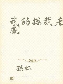 我的总裁老婆短剧