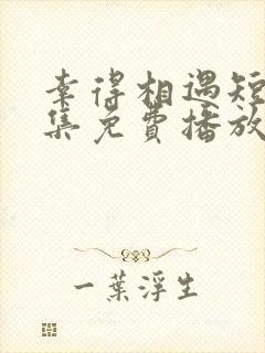 幸得相遇短剧全集免费播放在线观看封面