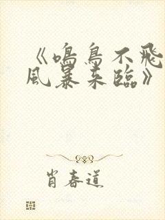 《鸣鸟不飞2:风暴来临》