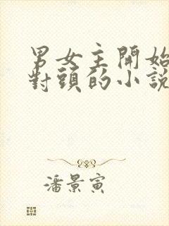 男女主开始是死对头的小说