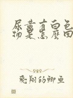 尿黄有白色沉淀物是怎么回事封面