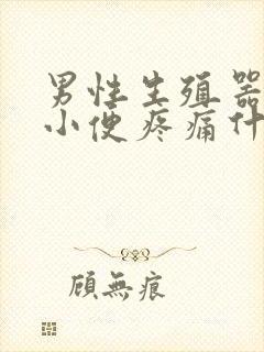 男性生殖器流脓小便疼痛什么原因封面