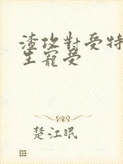 渣攻对受特坏重生宠受