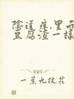 阴道痒,里面像豆腐渣一样的东西