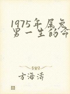 1975年属兔男一生的命运