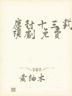 尘封十三载 电视剧 免费