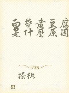 白带黄豆腐渣状是什么原因造成的