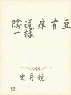 阴道痒有豆腐渣一样