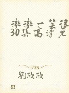 微微一笑很倾城30集高清免费观看